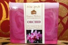 Orchid