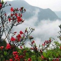 เมือง เหอซาน , มณฑล กวางสี , ประเทศ จีน